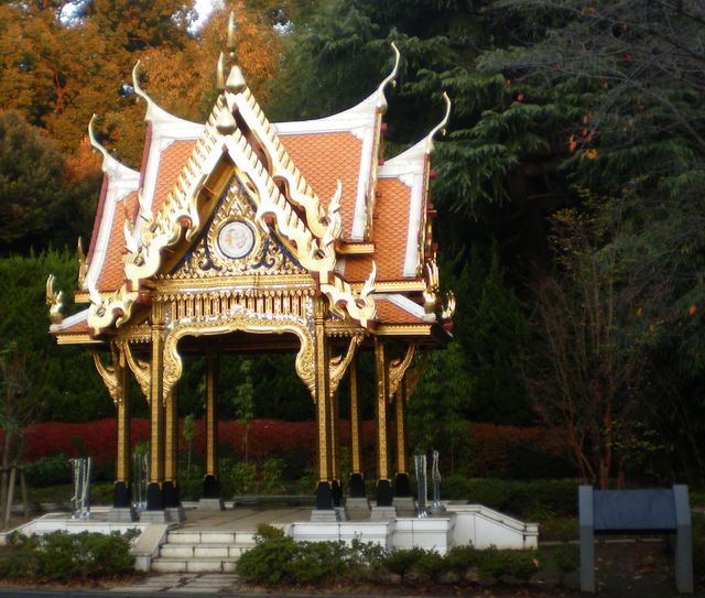 ����ưʪ����η�ʪ��-�顦����