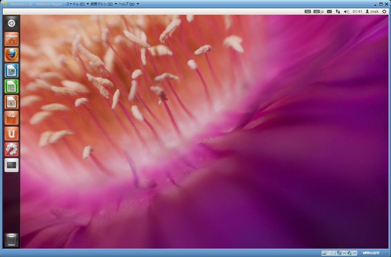 Ubuntu 11.10 on VM Player 4.0.1 2����